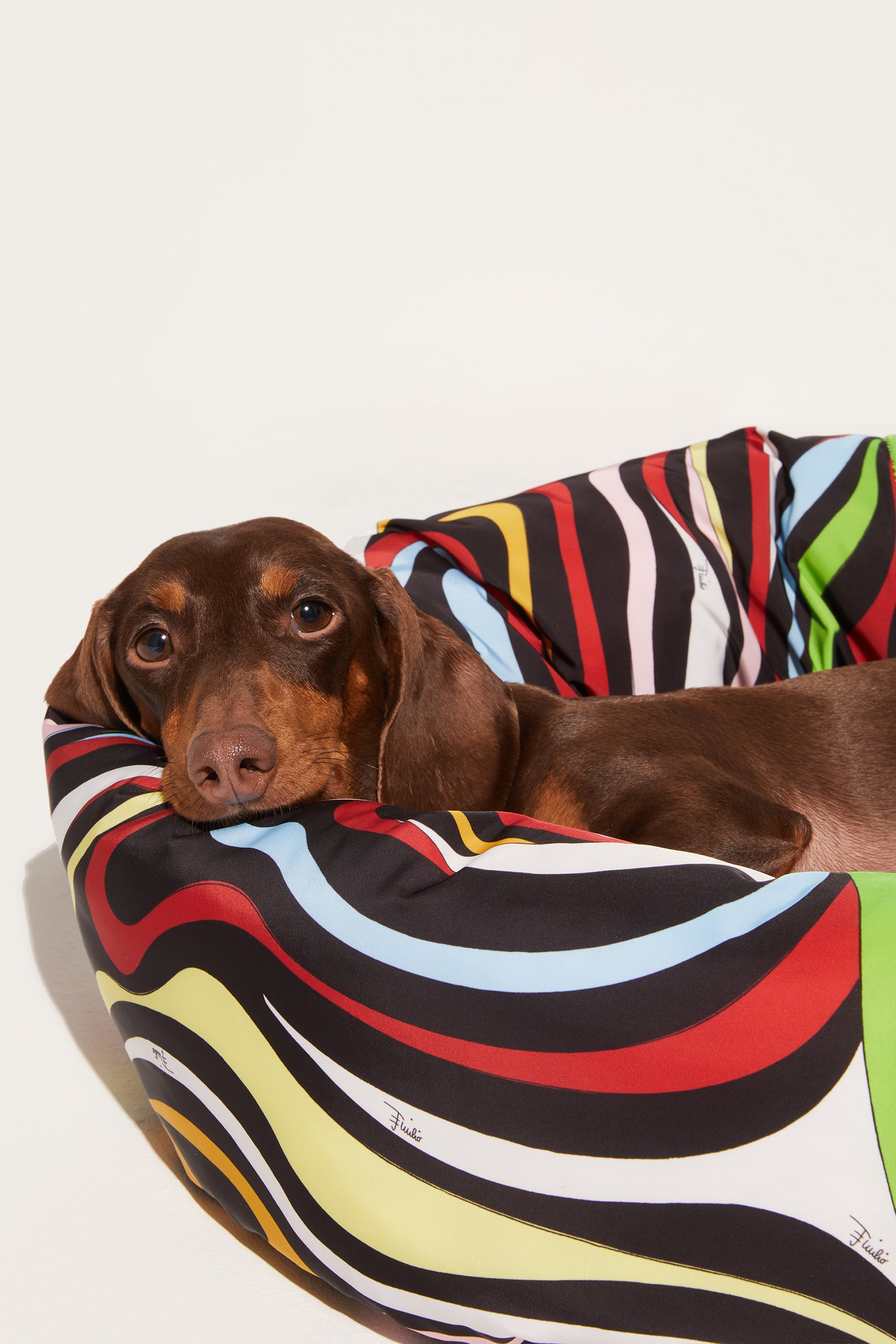 Marmo-Print Dog Bed View 4 - Pucci